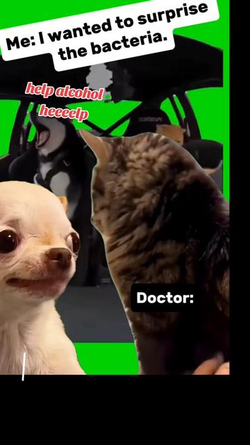 @frozen_rozeyazz