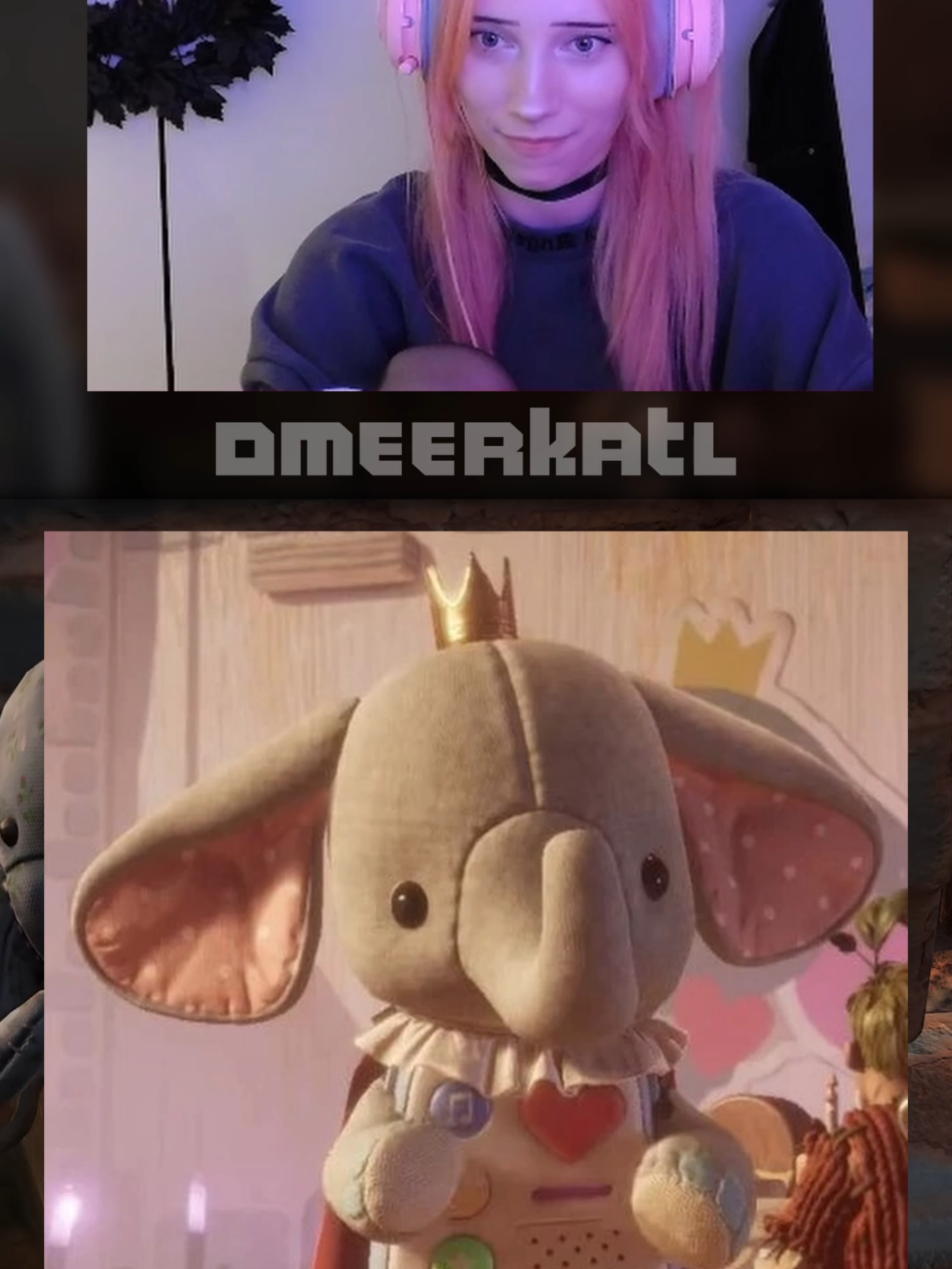 @Meerkat