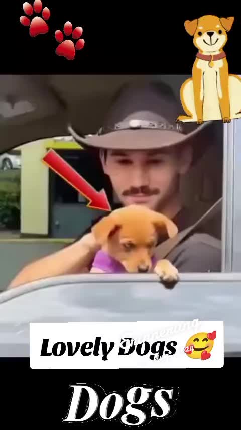 @Gulp 🇦🇹Team Chihuahua ❤