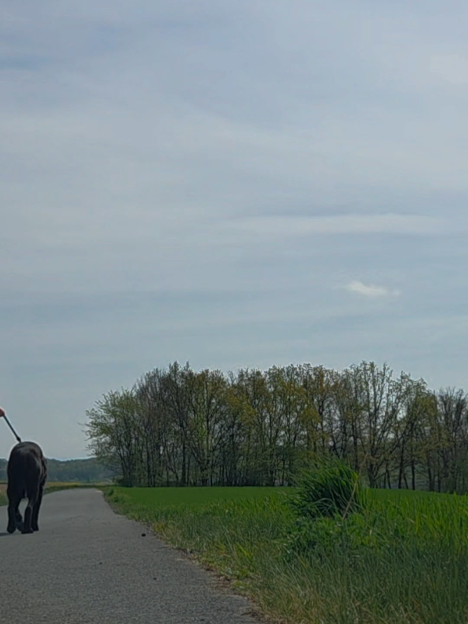 @Nicole
