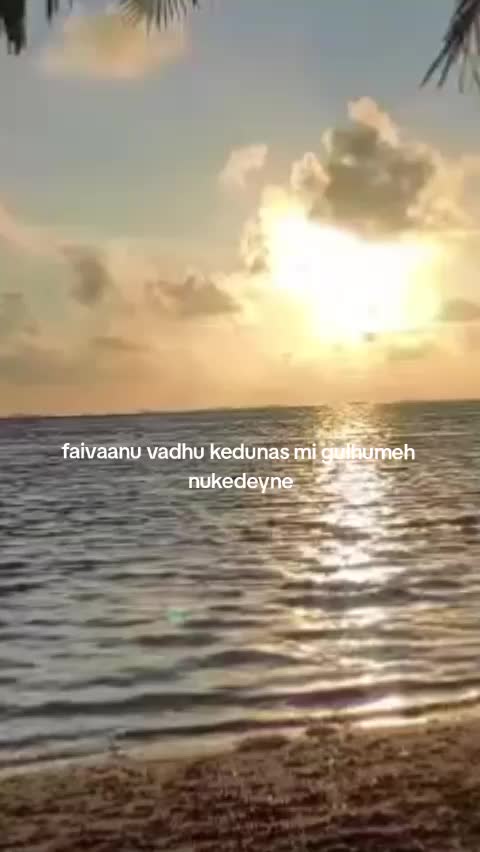 @🌬️🌊🏄