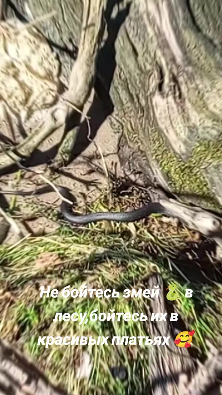 @Анастасия