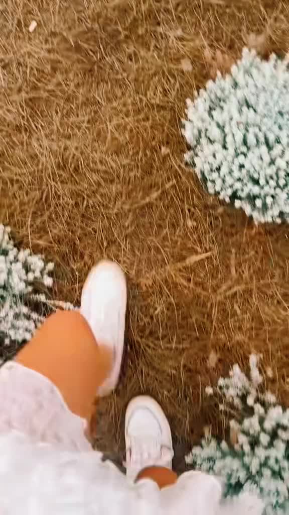 @🦋🪷🌿🌀❤️