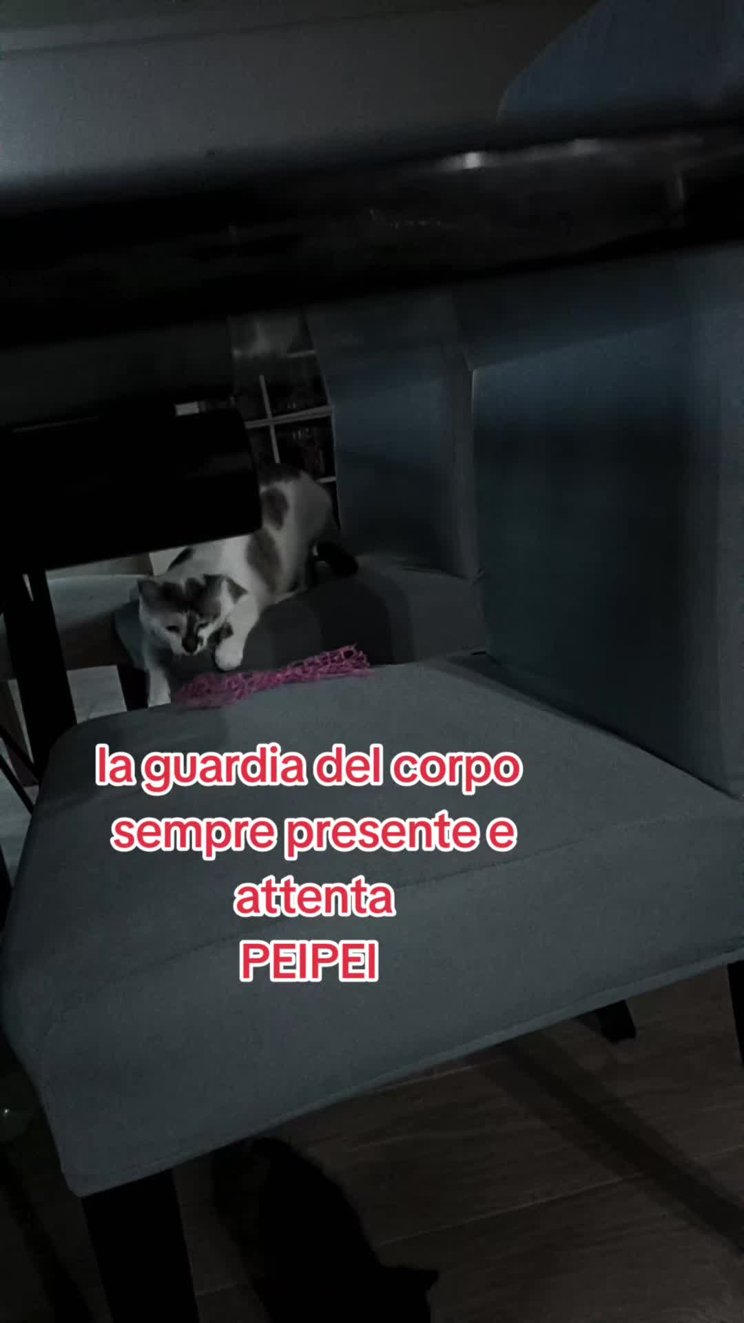 @vincenza