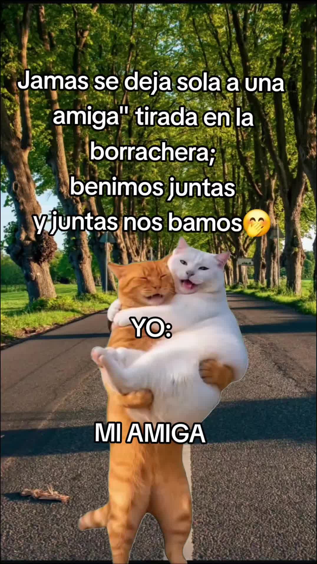 @CARMEEN ESPINOSA #5❤💙💙🩷🩷🩷