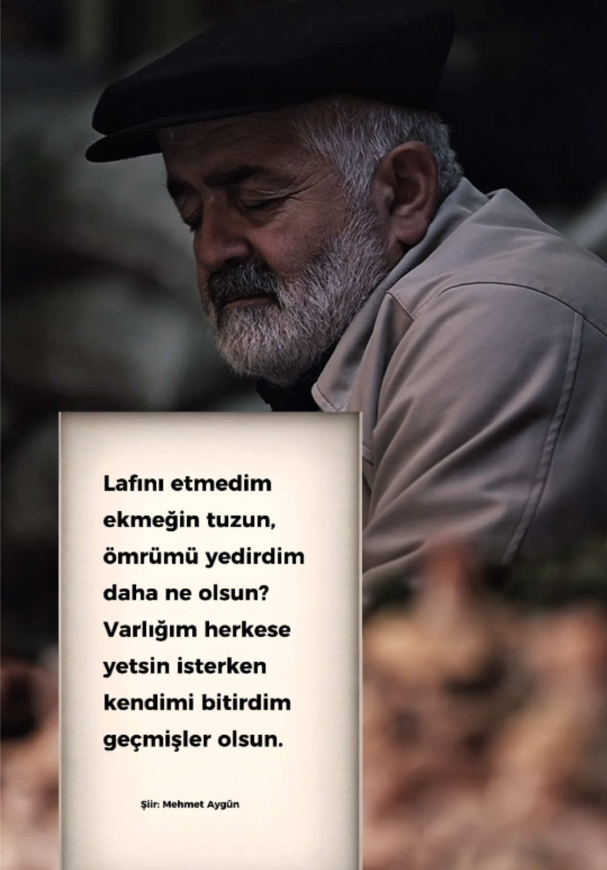 @Mehmet Aygün