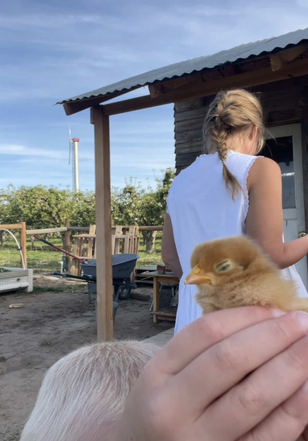 @farmgirlmadie