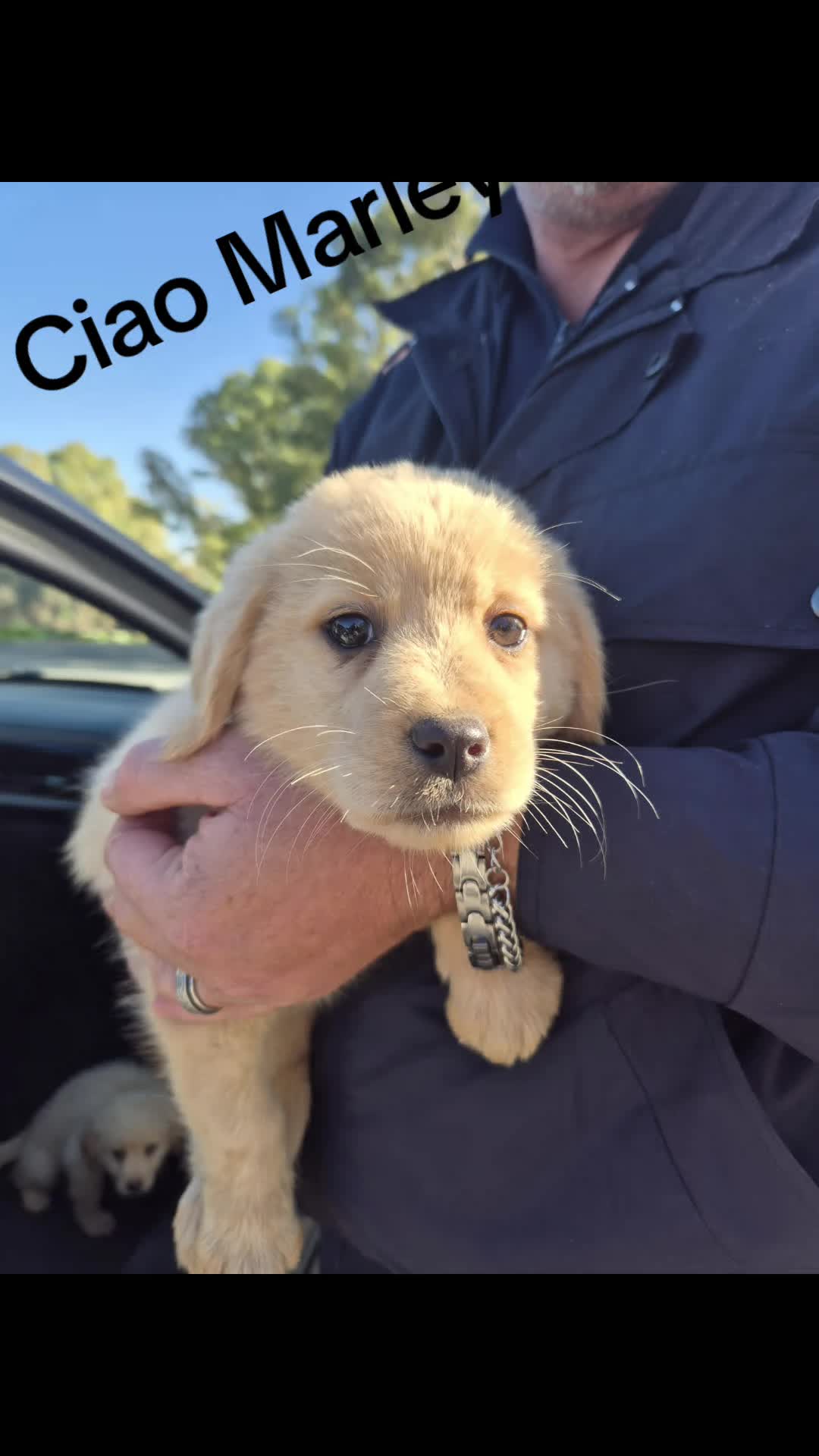 @Ciccio.fra