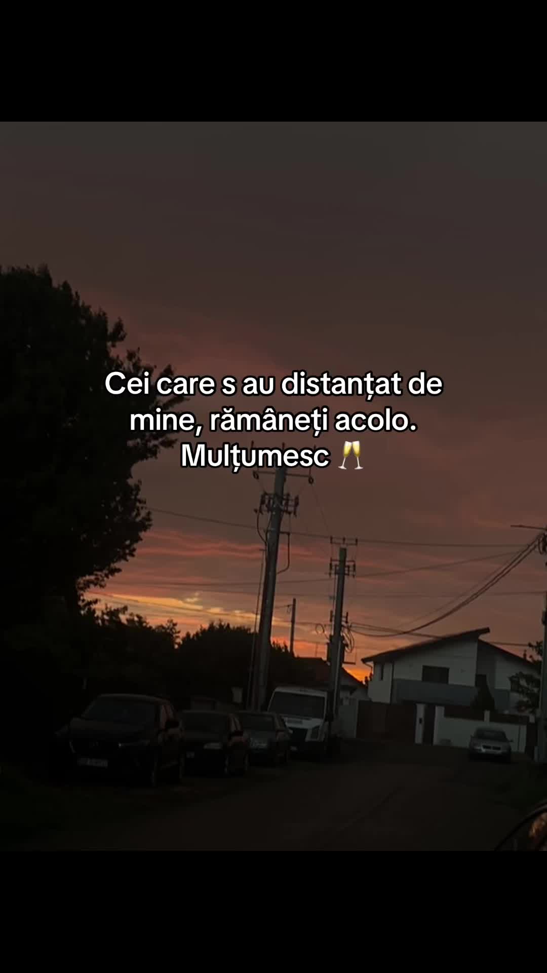 @lauricaa🦅