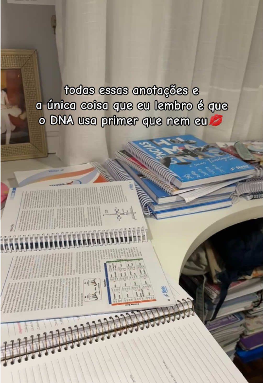 @carol