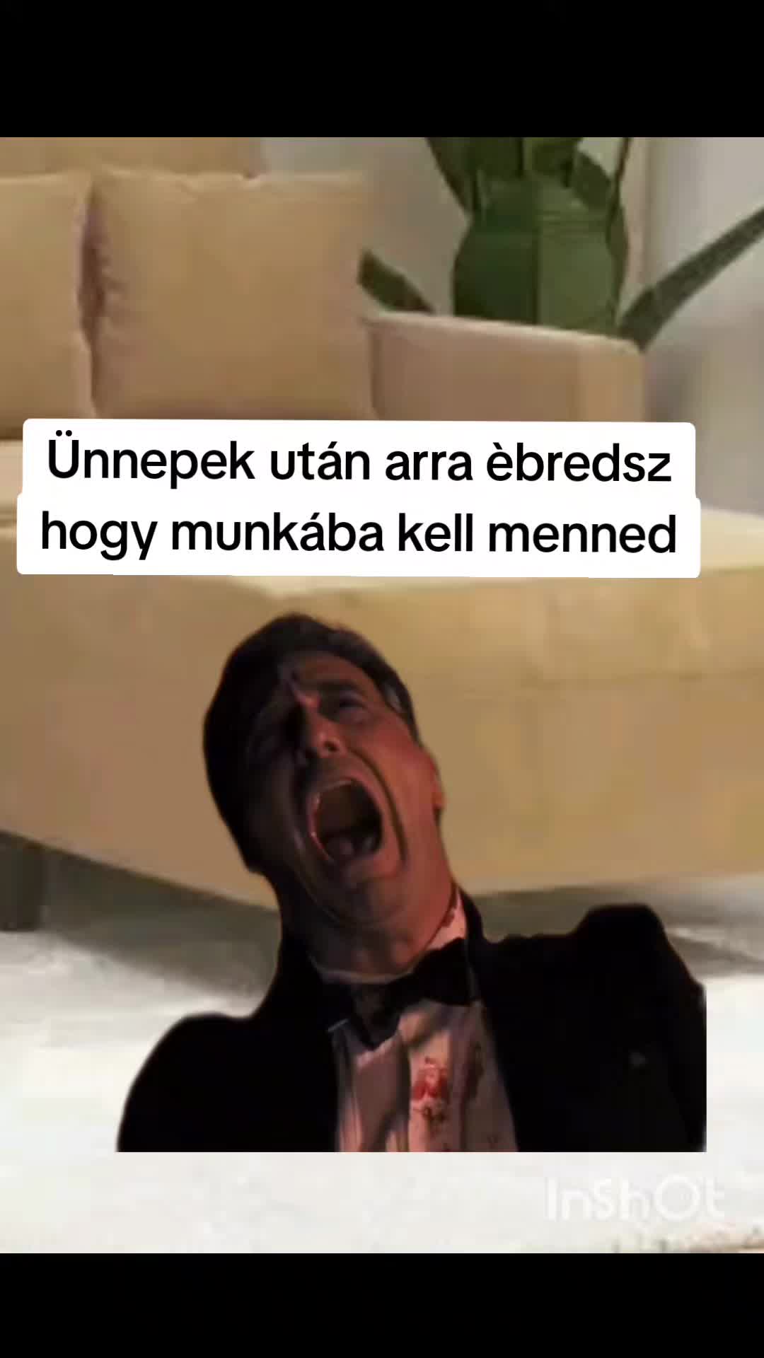 @D&aacute;niel Horv&aacute;th