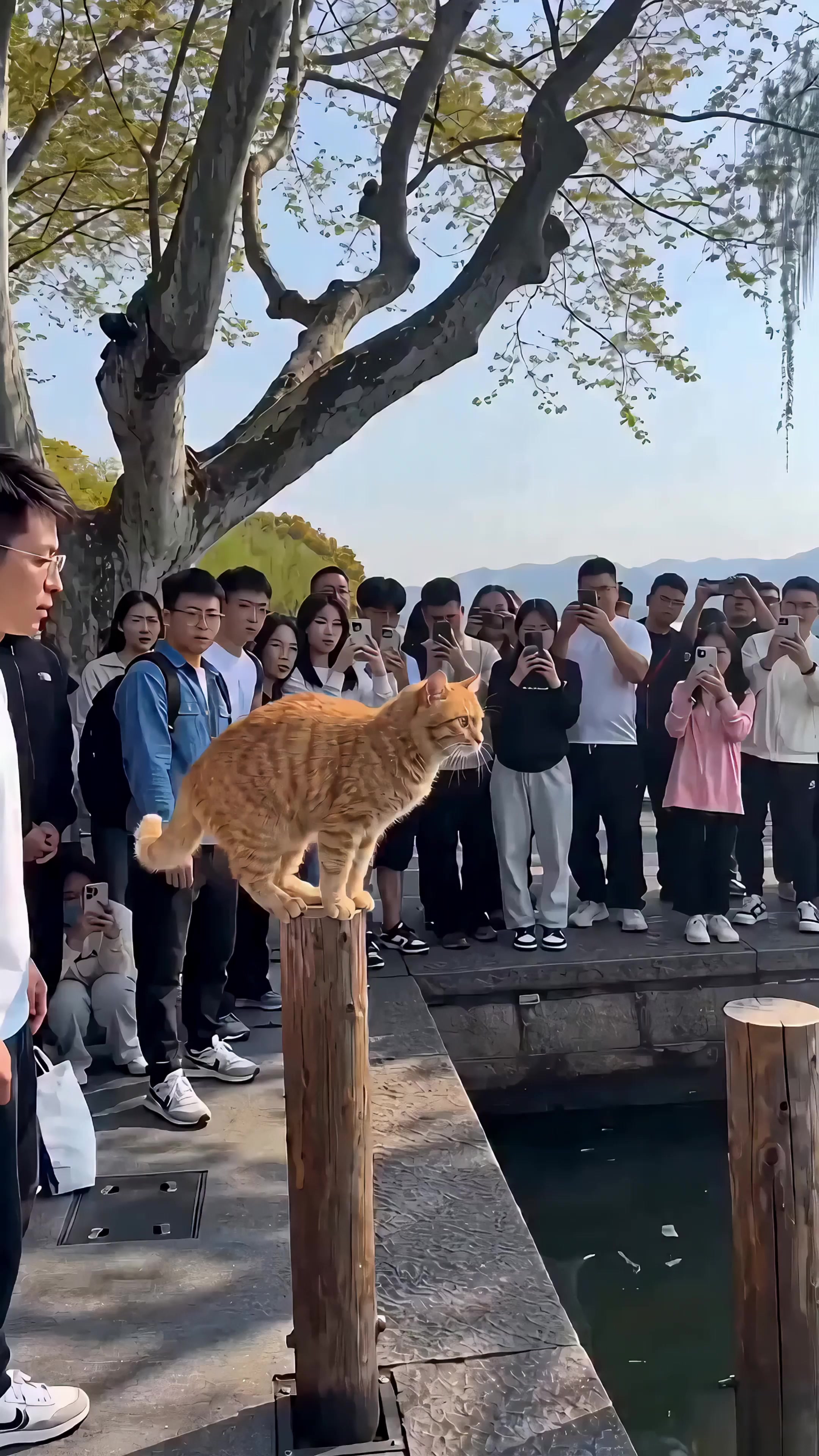 @Wish Ai
