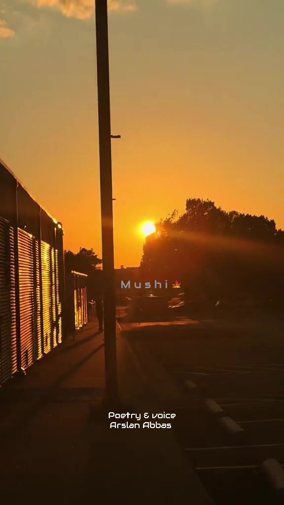 @Ayzal🍁Mushi