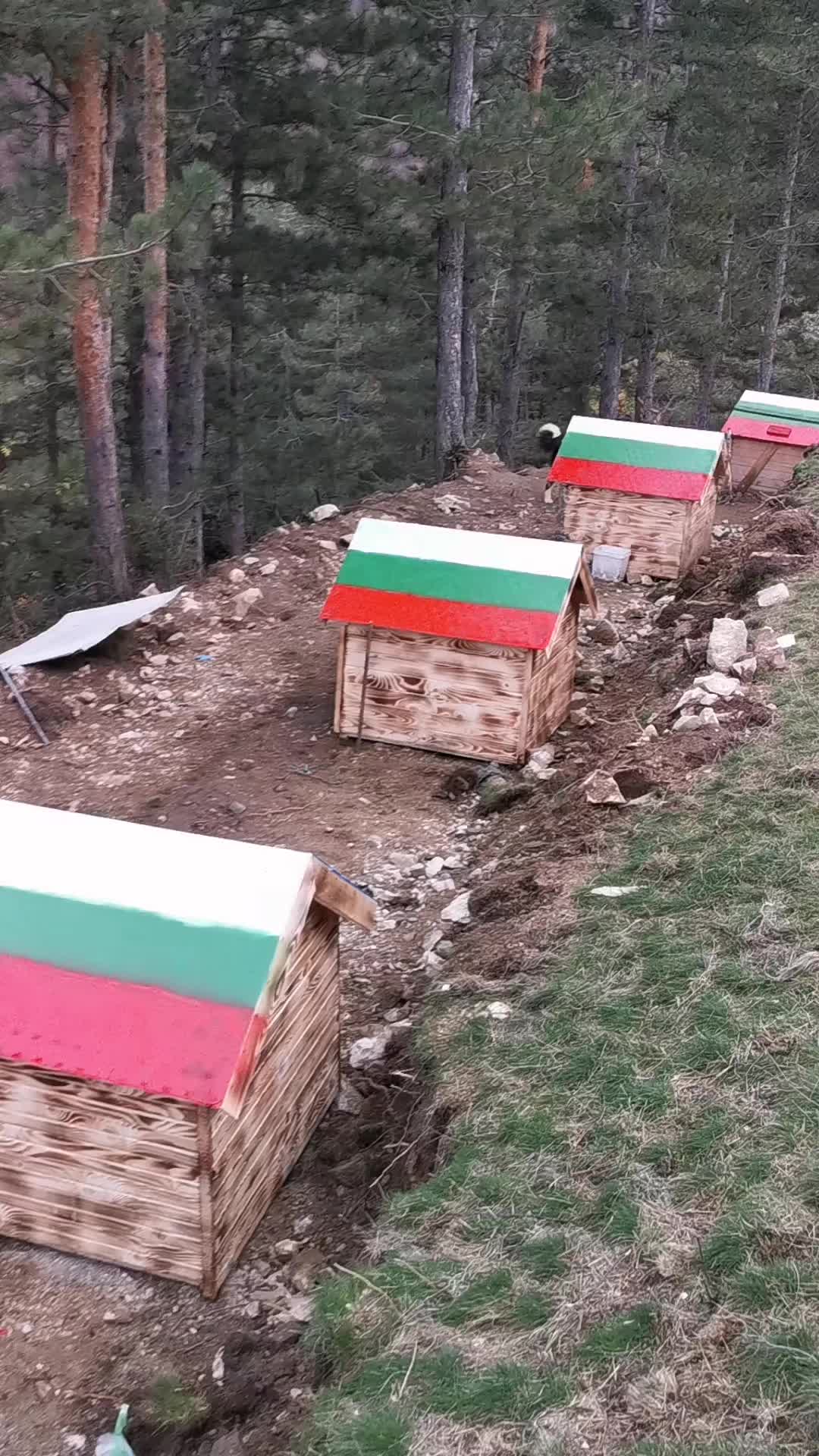 @user402089212676