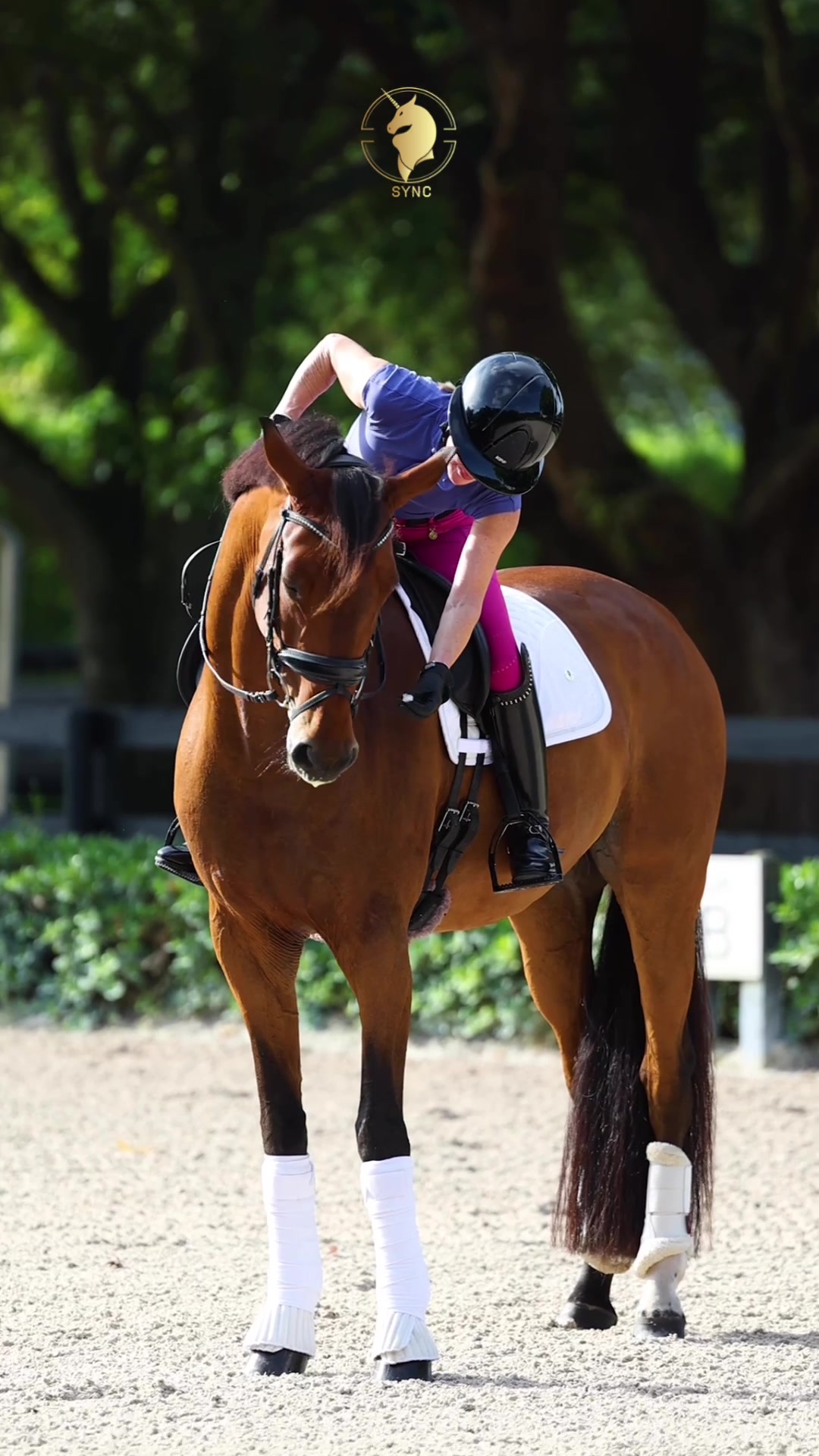 @Sync Equestrian