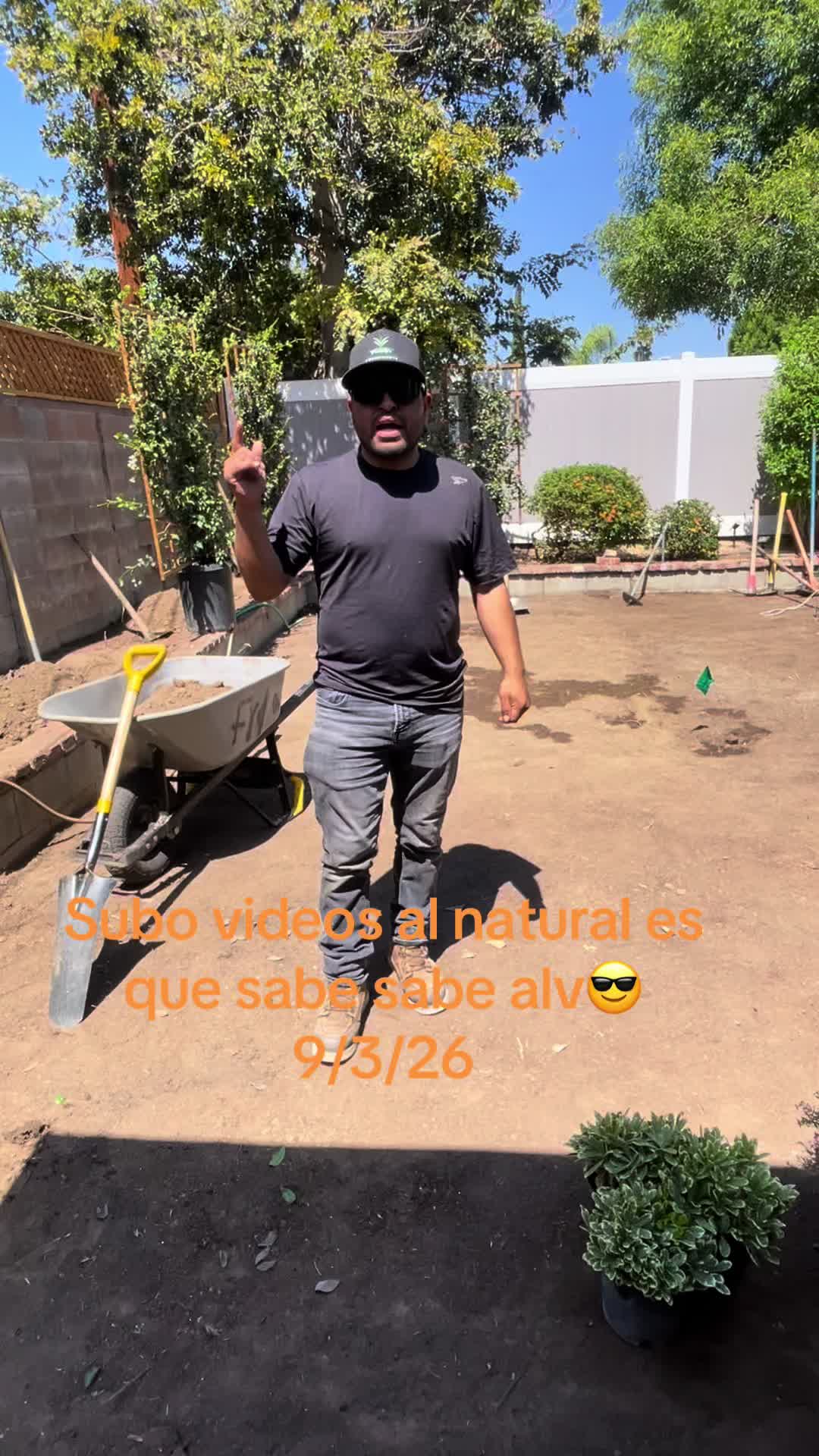 @AlfredoDavila
