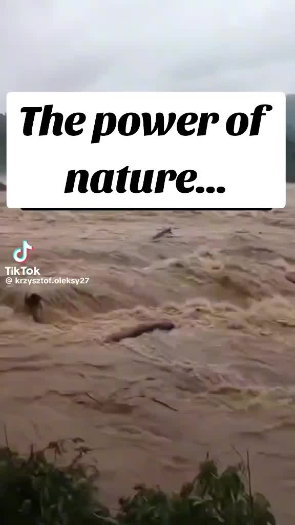 @C00kie D0se