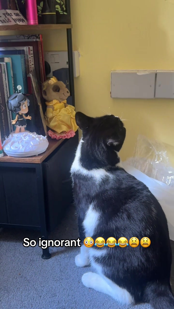 @Paigeyy