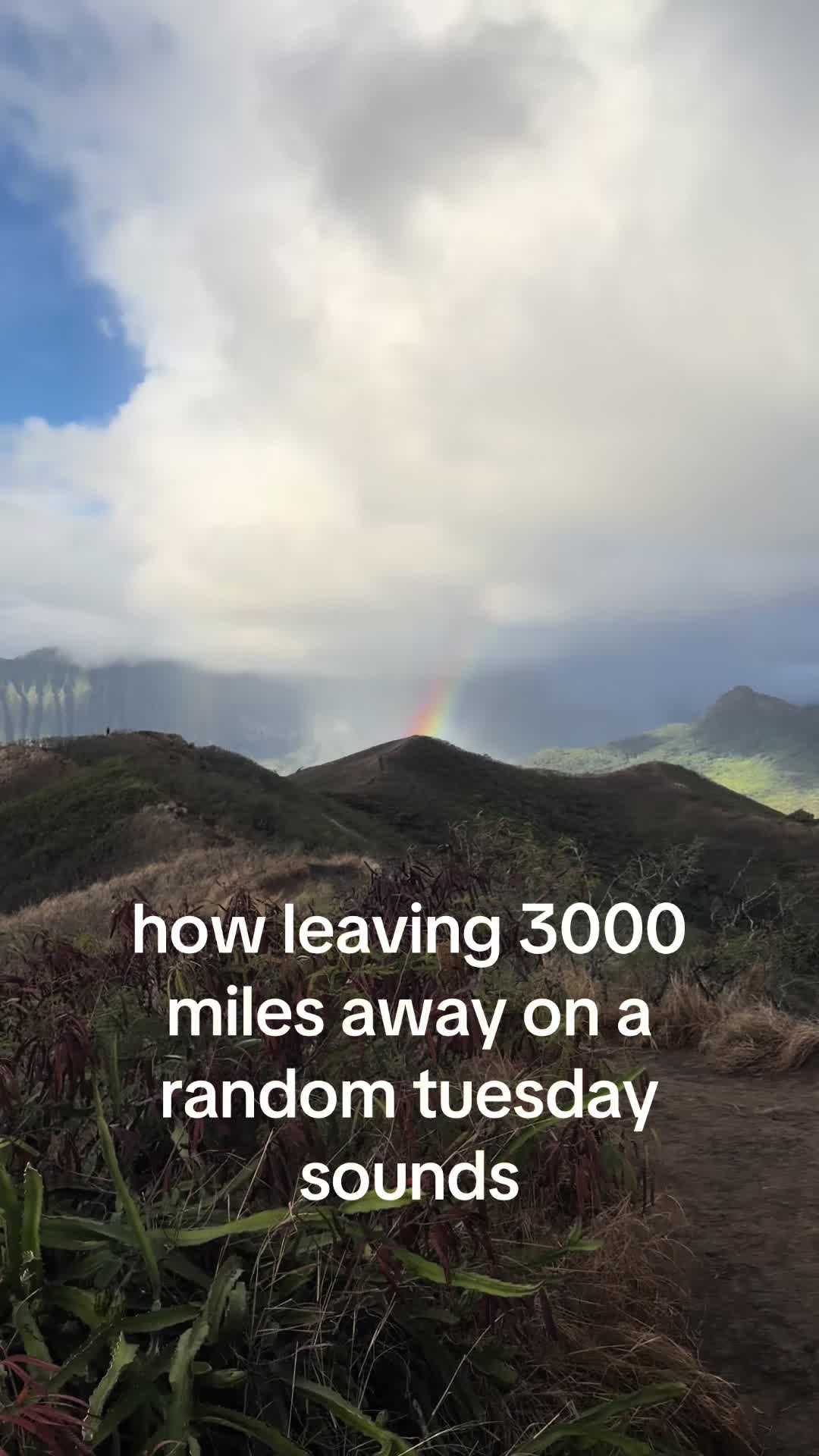 @alyssa