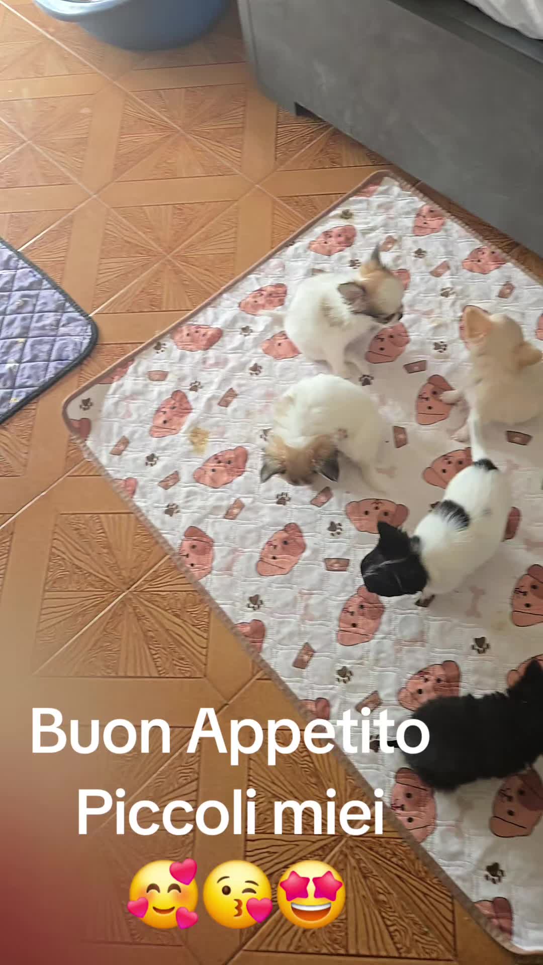 @Elena Paganelli