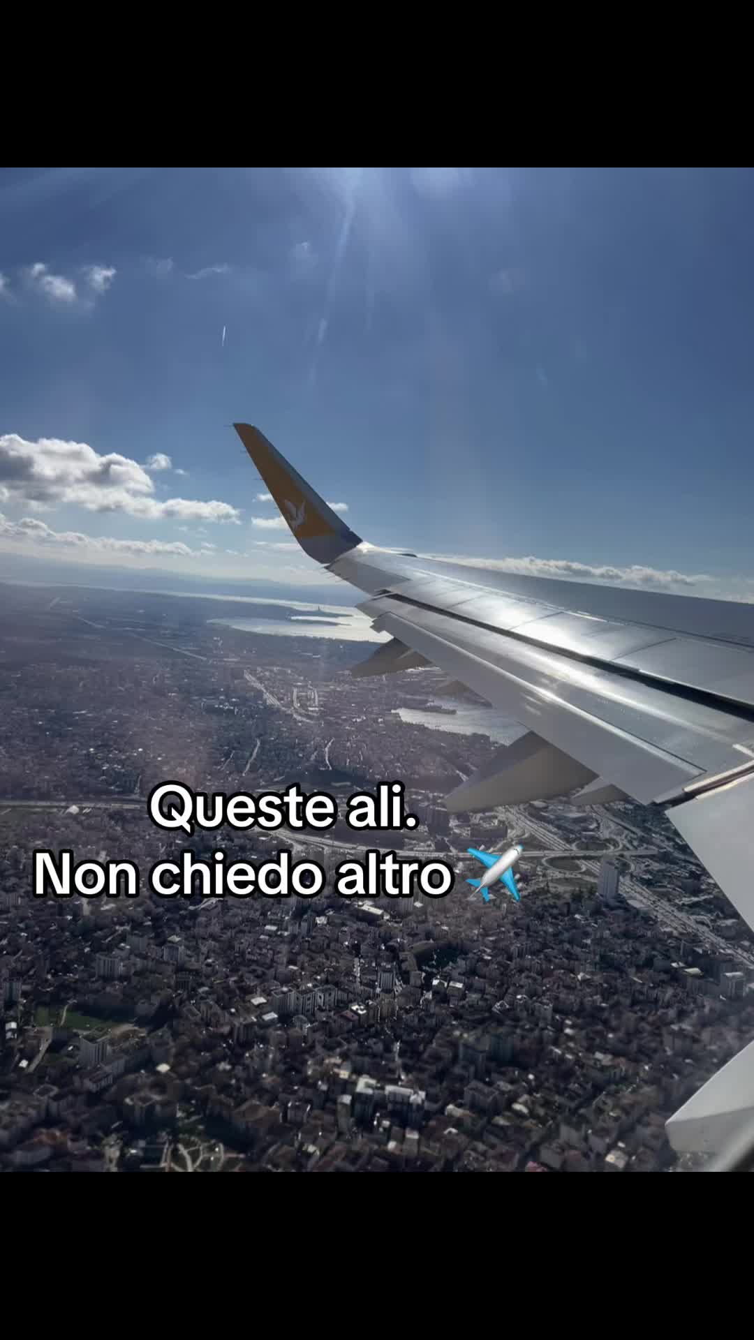 @greta_trabucco
