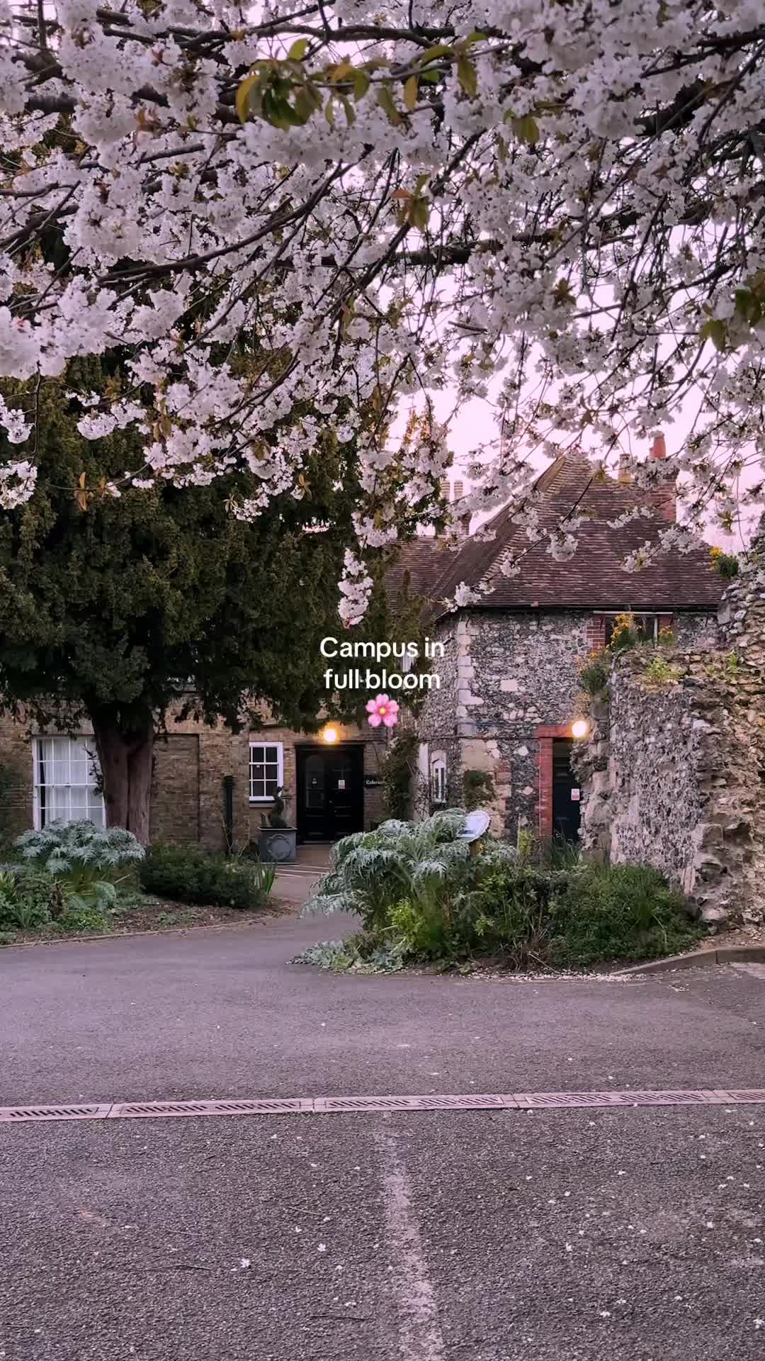 @Canterbury Christ Church Uni