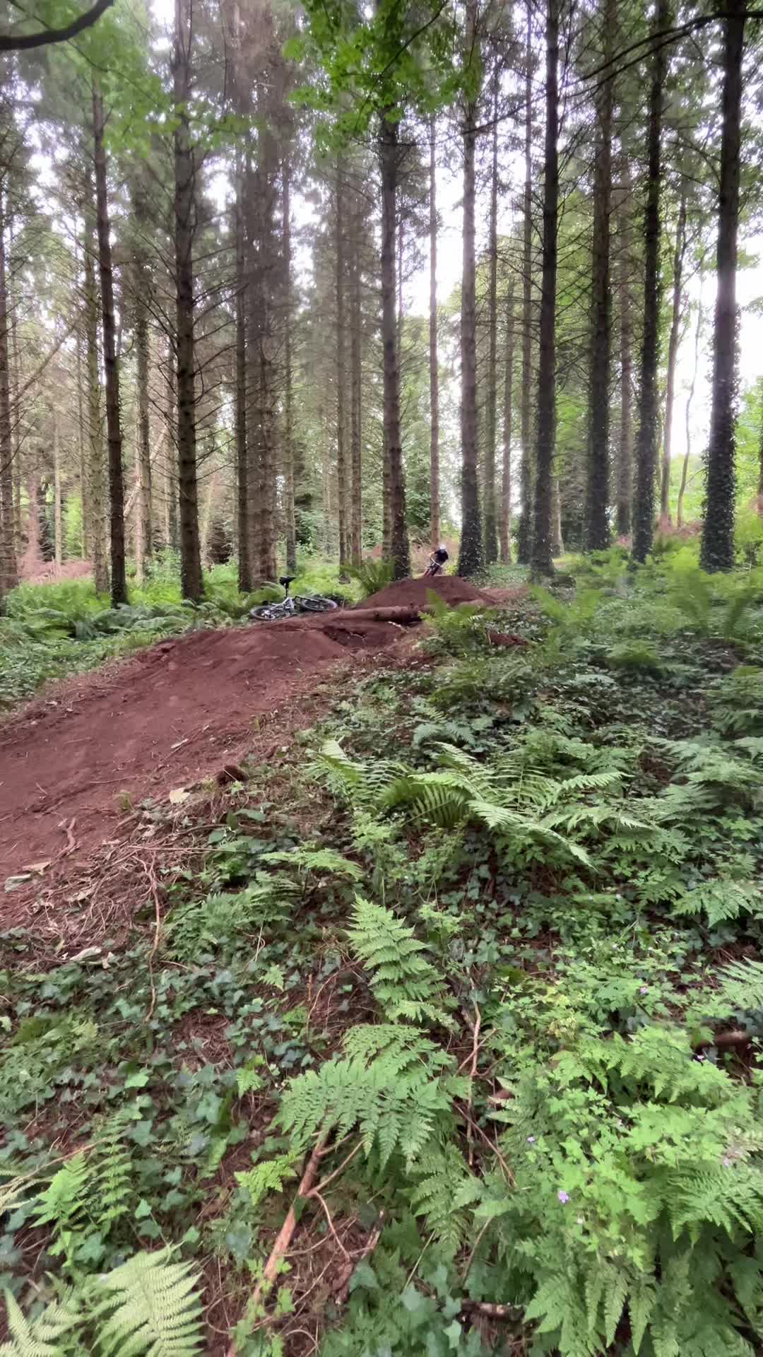 @Trails and Fails
