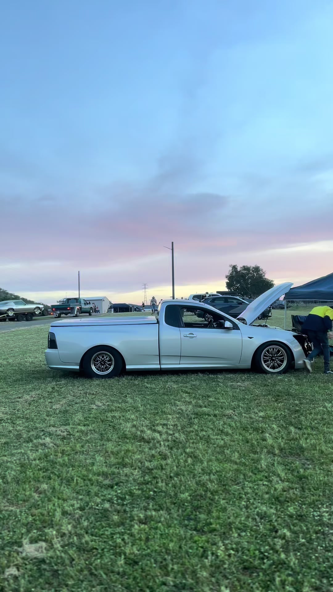 @TORQ MEDIA 🦩