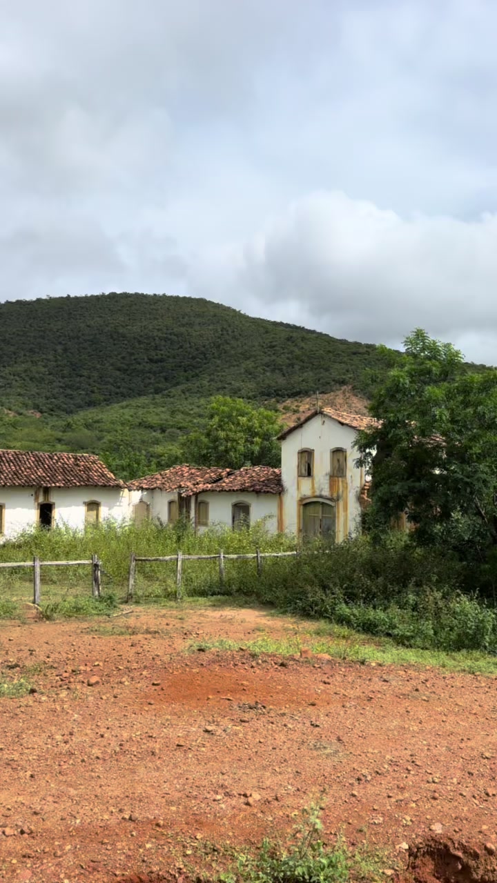 @Jailton dos Anjos 🤠