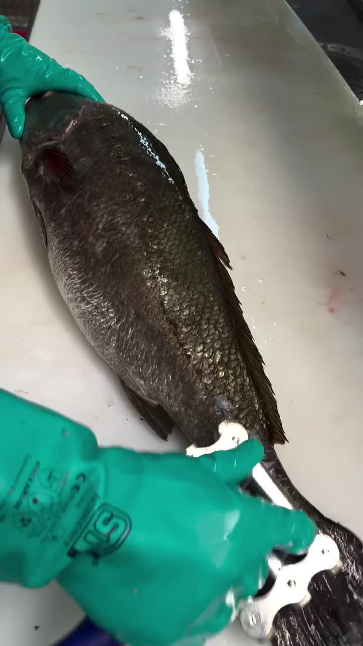 @Direct Seafoods London