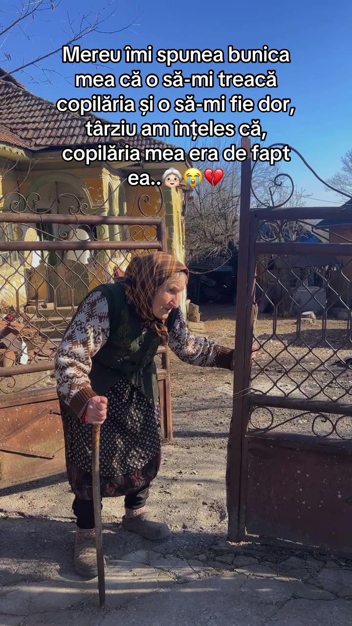 @stefii.scm