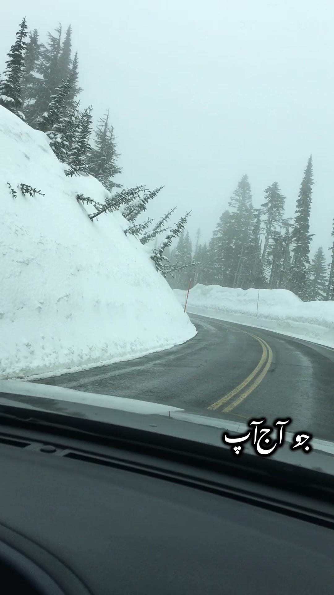 @Syeda-G 007