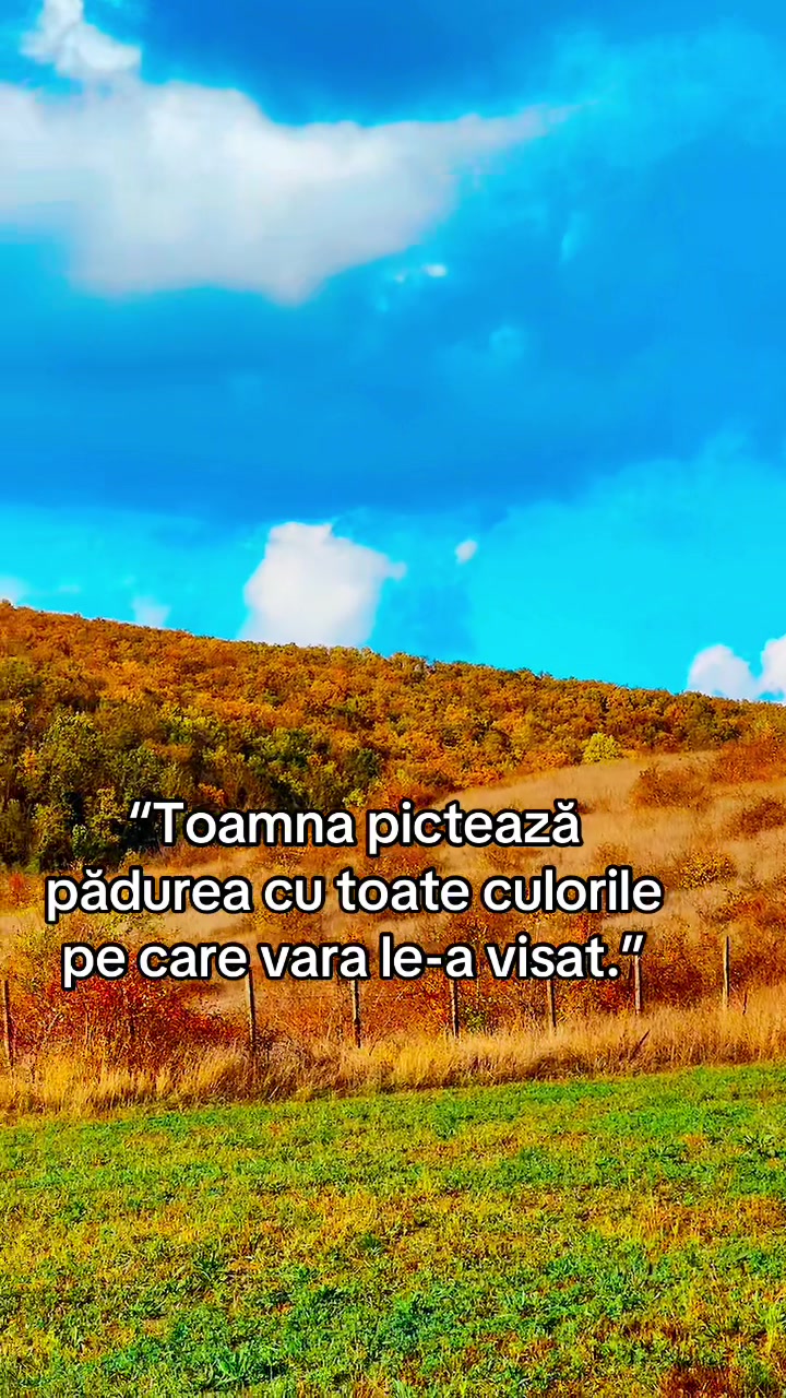 @Hristea&ensp;Diana