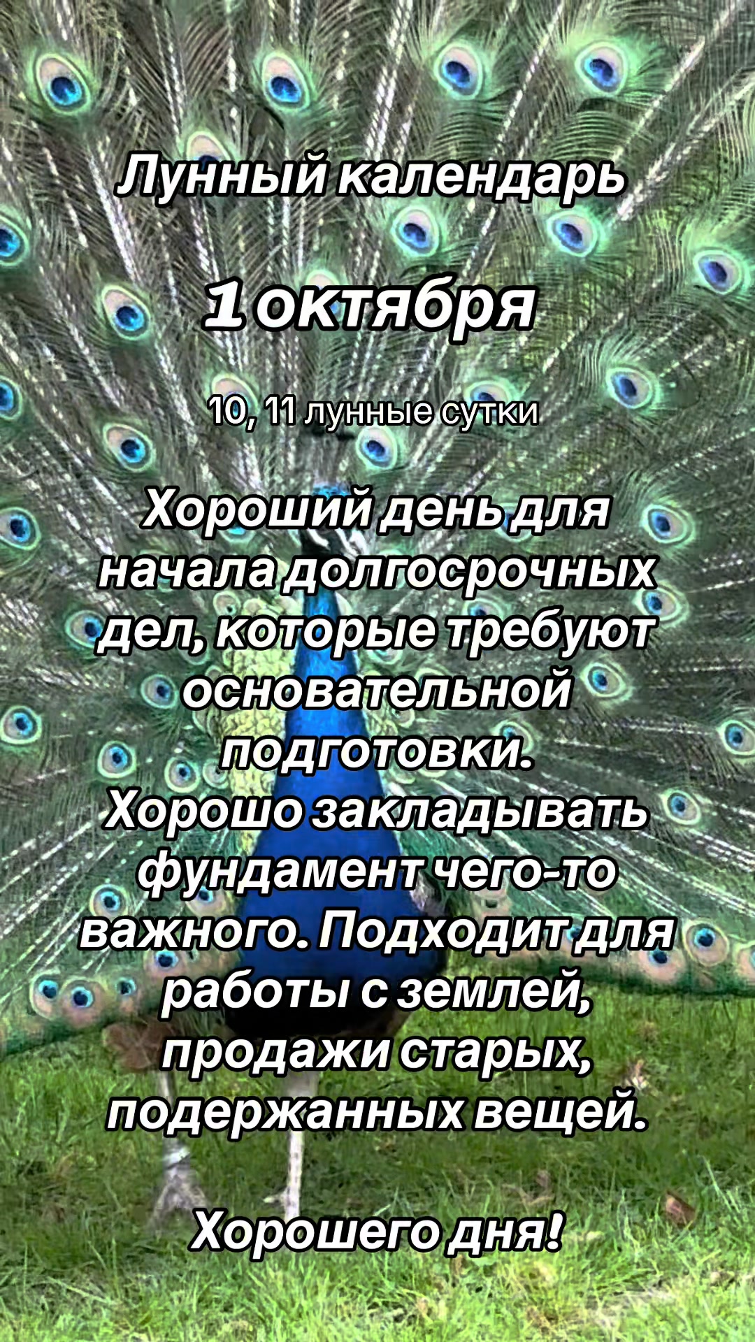 @Альвина✨Alwina