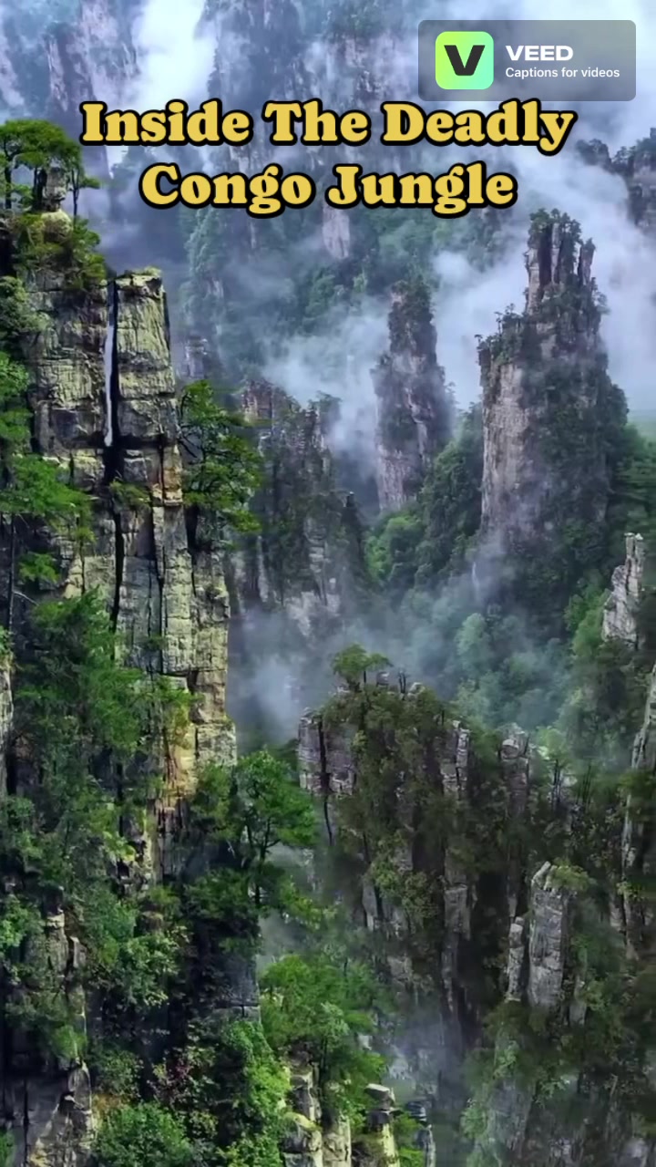 @World 🌍360 Beauty