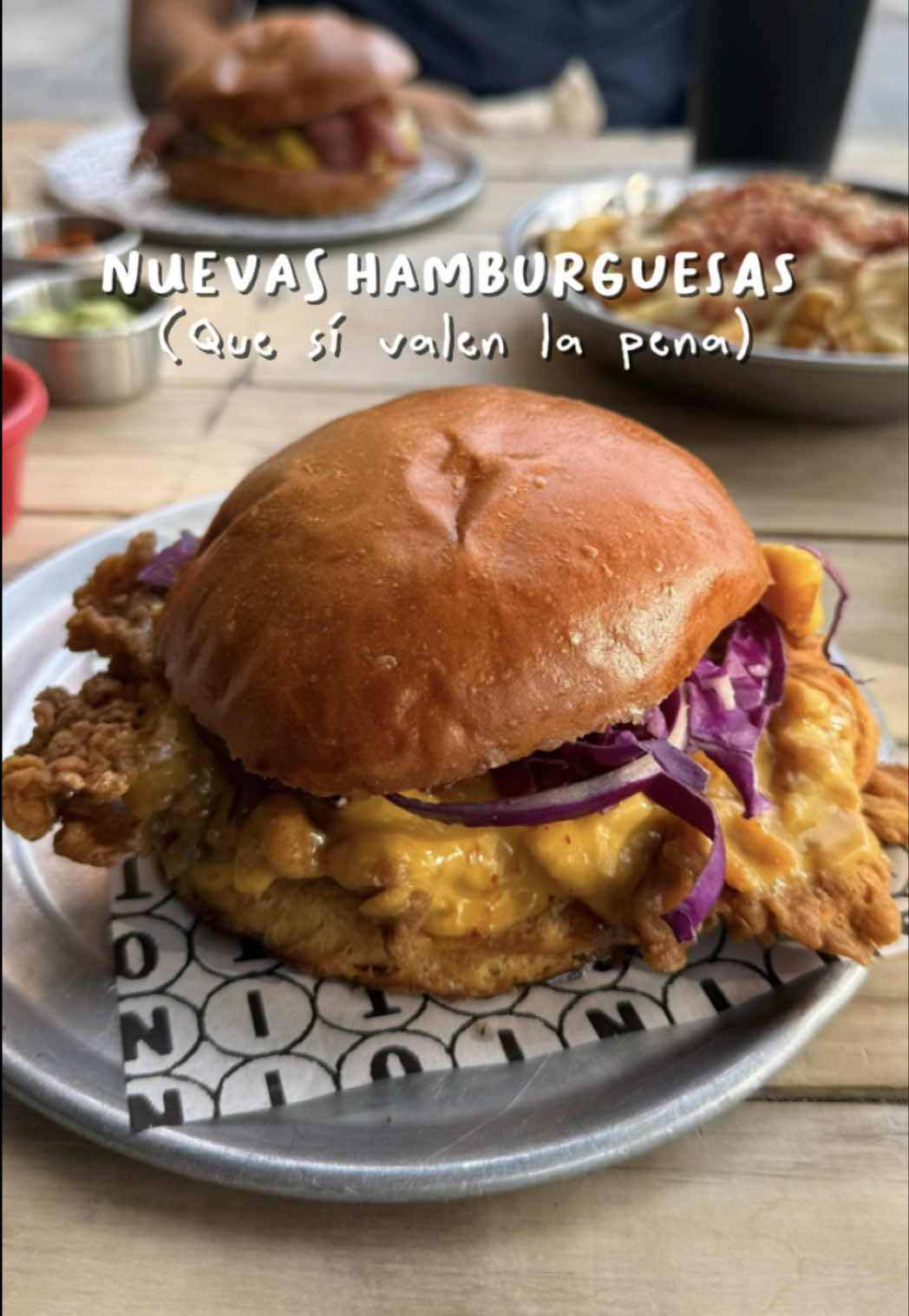 @mapachososs
