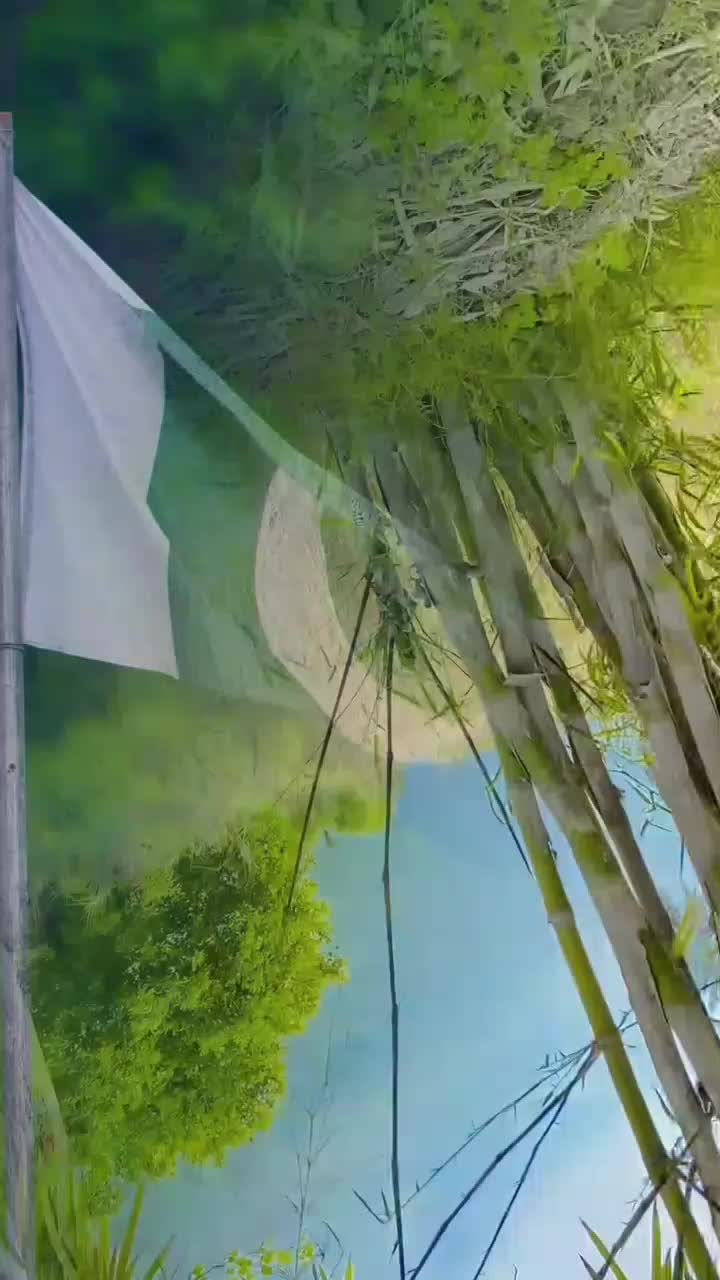 @malik Mohsin