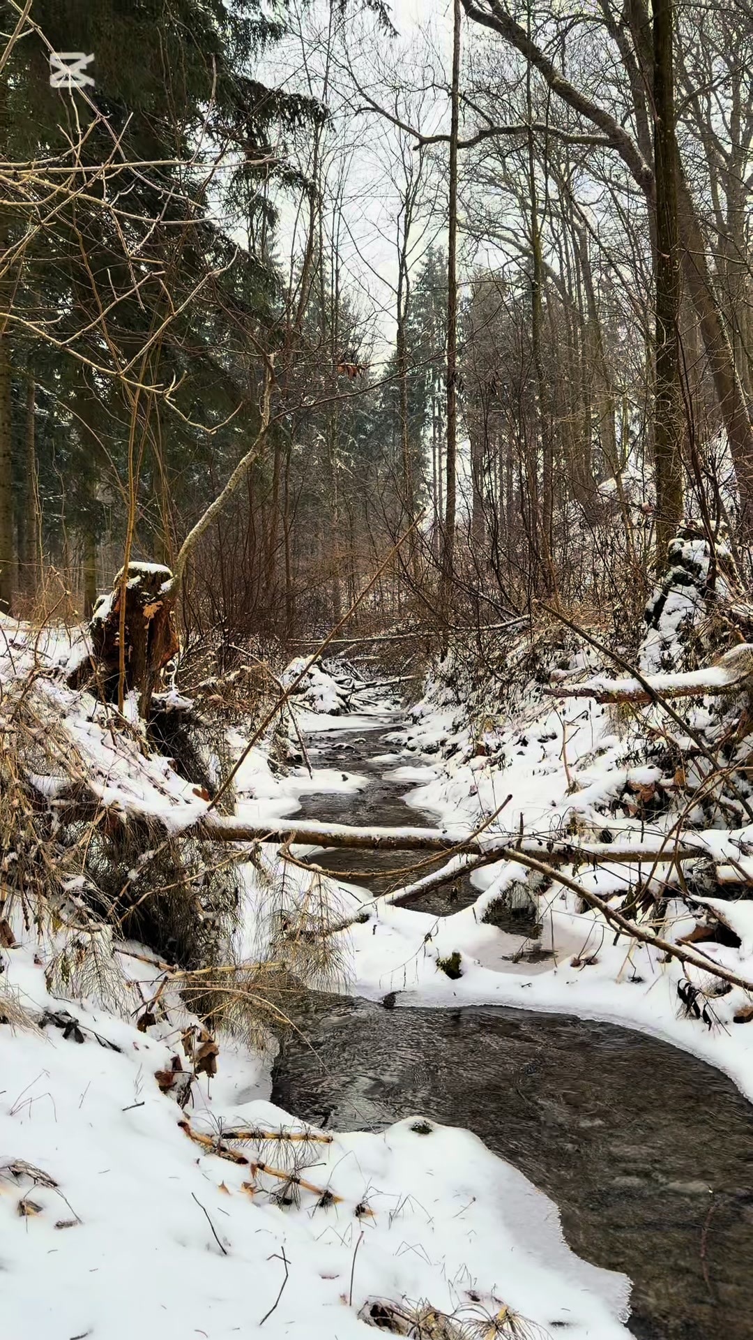 @🇦🇹The_Hiking_Dad