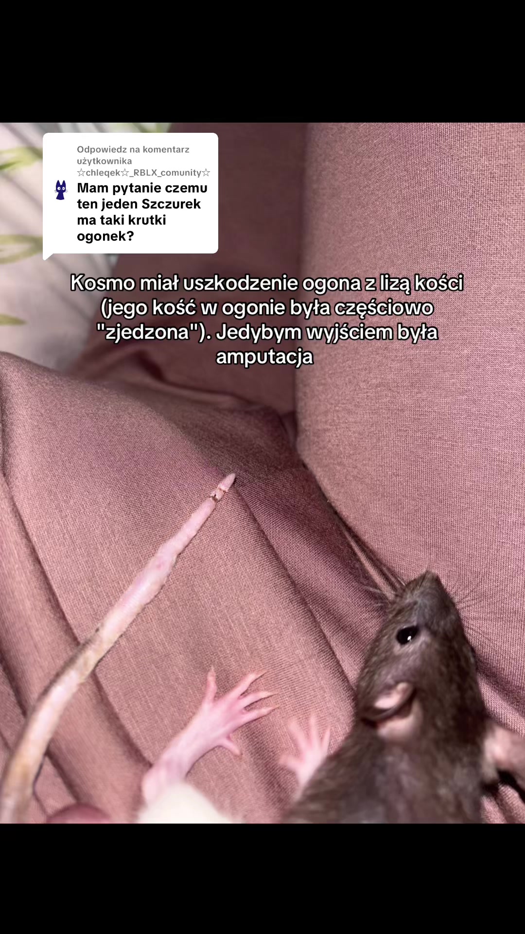 @𝐒𝐳𝐜𝐳𝐮𝐫𝐤𝐚𝟗𝟕