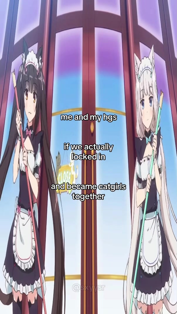 @⪩ ⪨