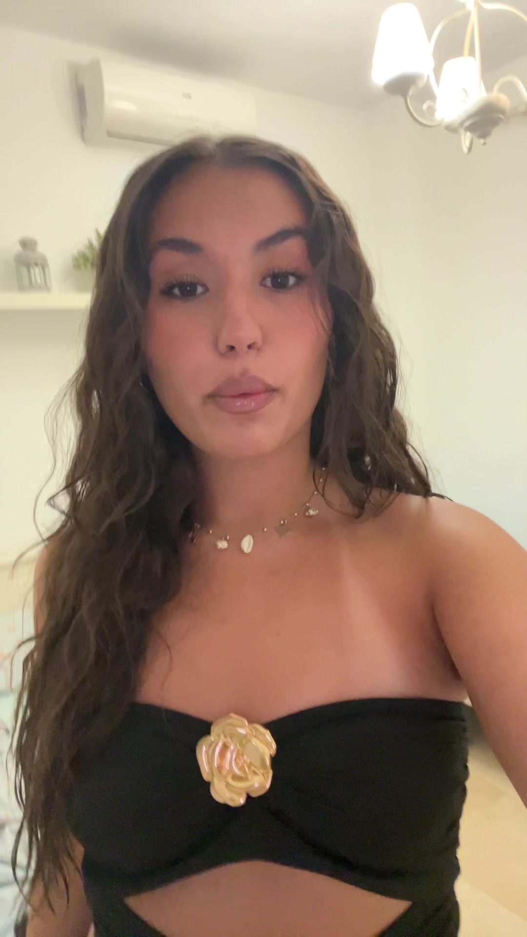 @jamilabibtia