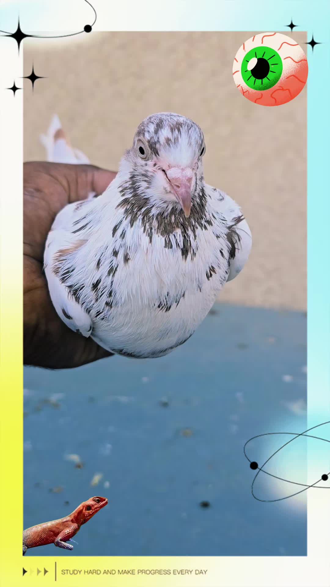 @Rana Sufi