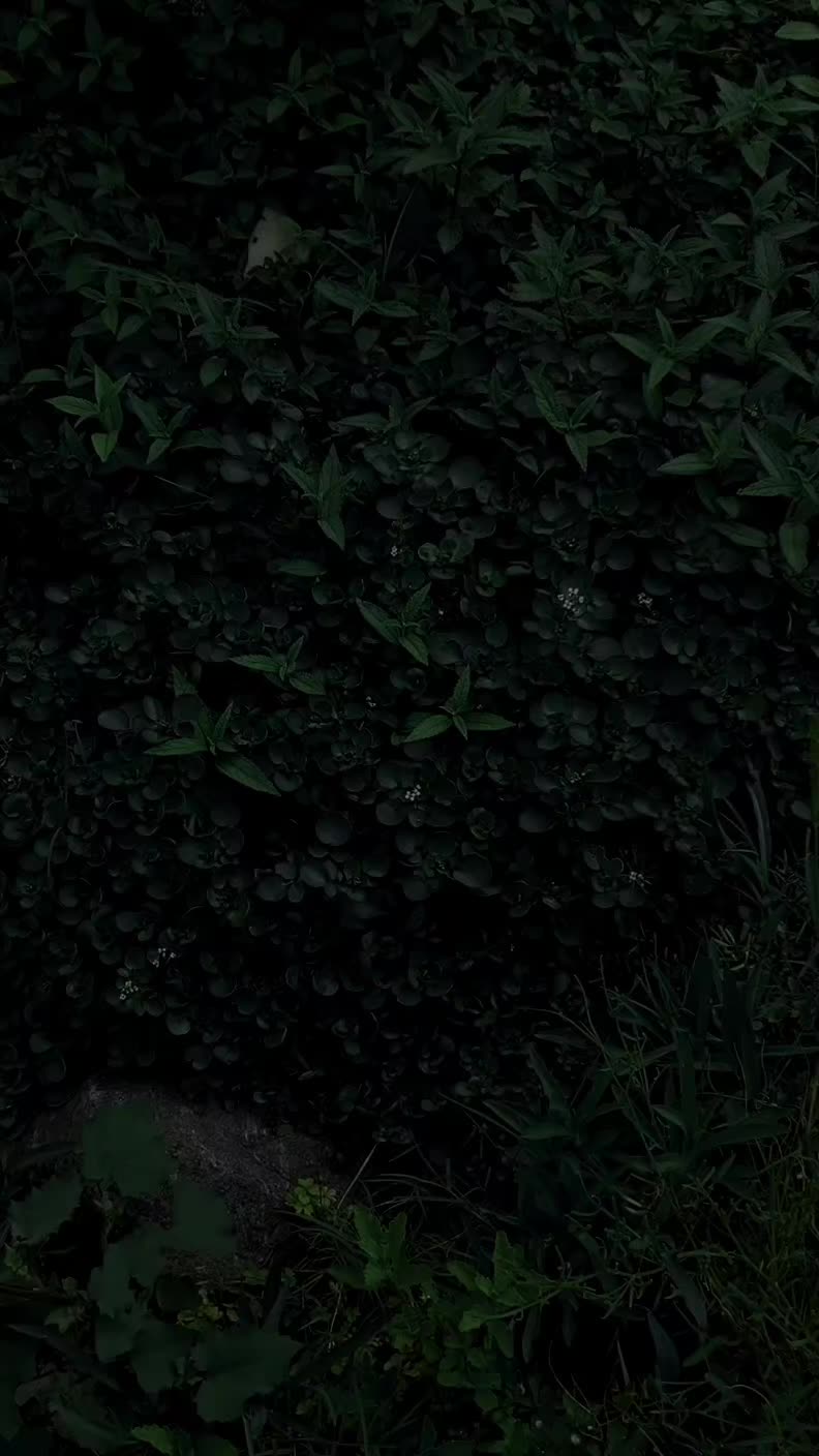 @_🥀💔