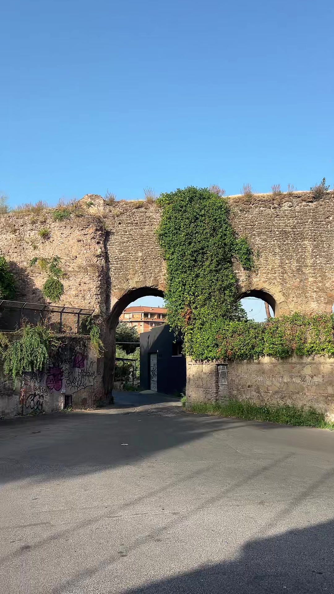 @vivaioanticogarden