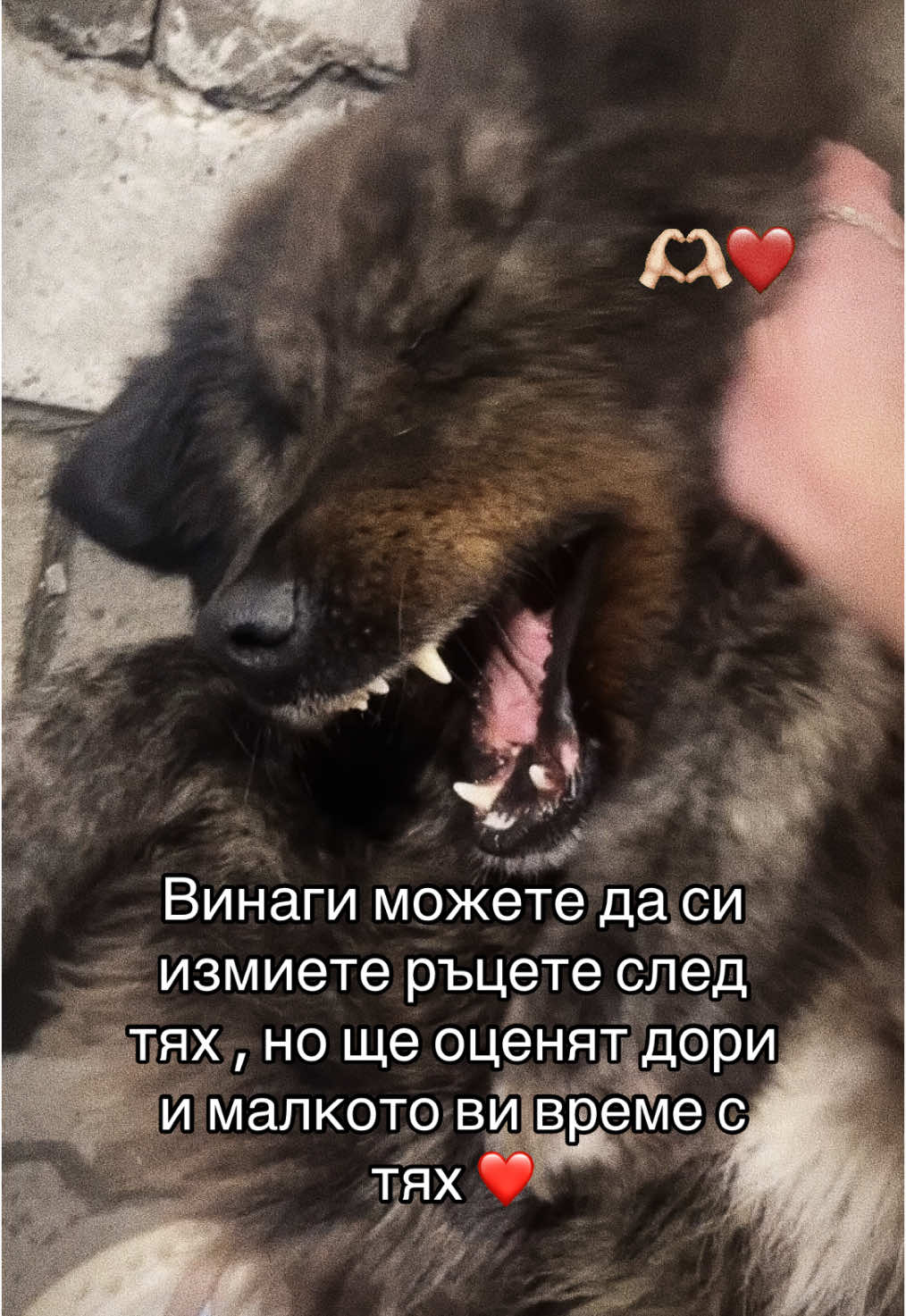 @Danny Stefanova
