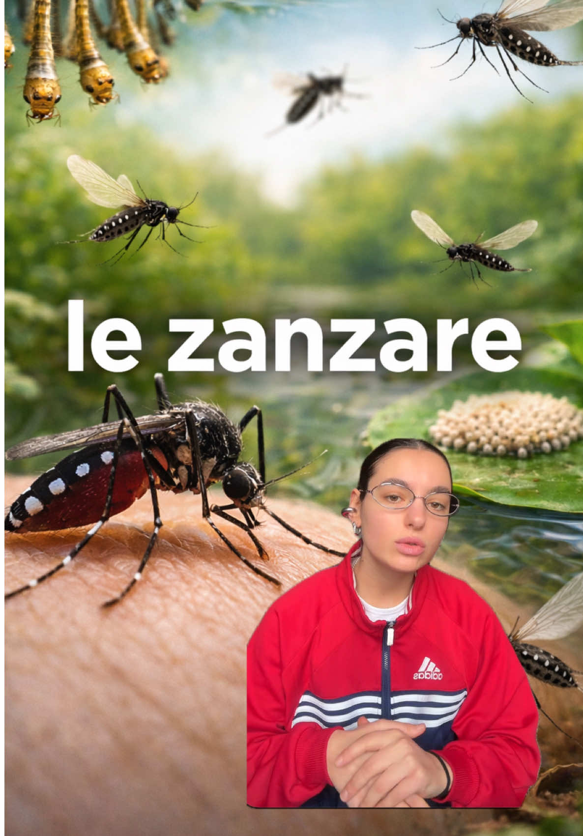 @Annalaura Granata