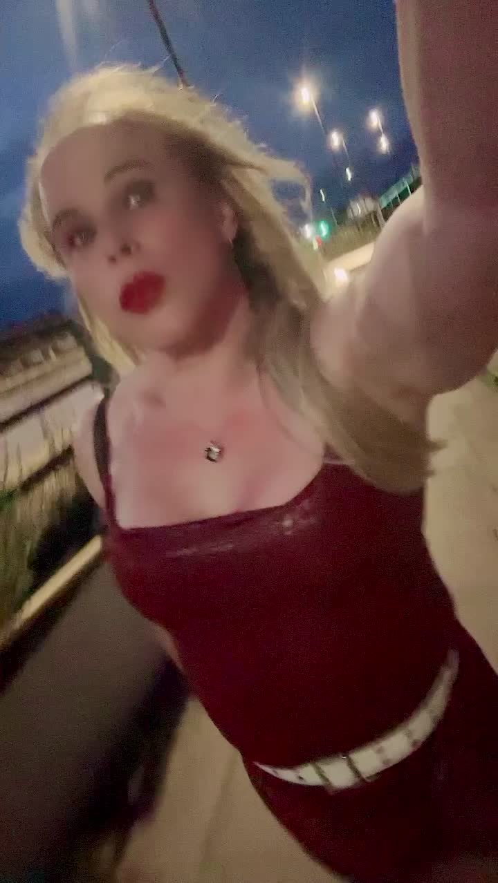 @Cute Bunny