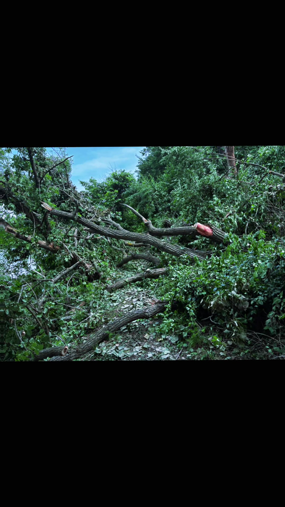 @𝙊𝙧𝙖𝙣𝙜𝙚 🍊 𝙈𝙤𝙣𝙠𝙚𝙮🐒