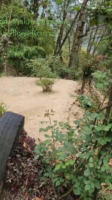 @sumit 🕉🔱🧿✨️⚛️