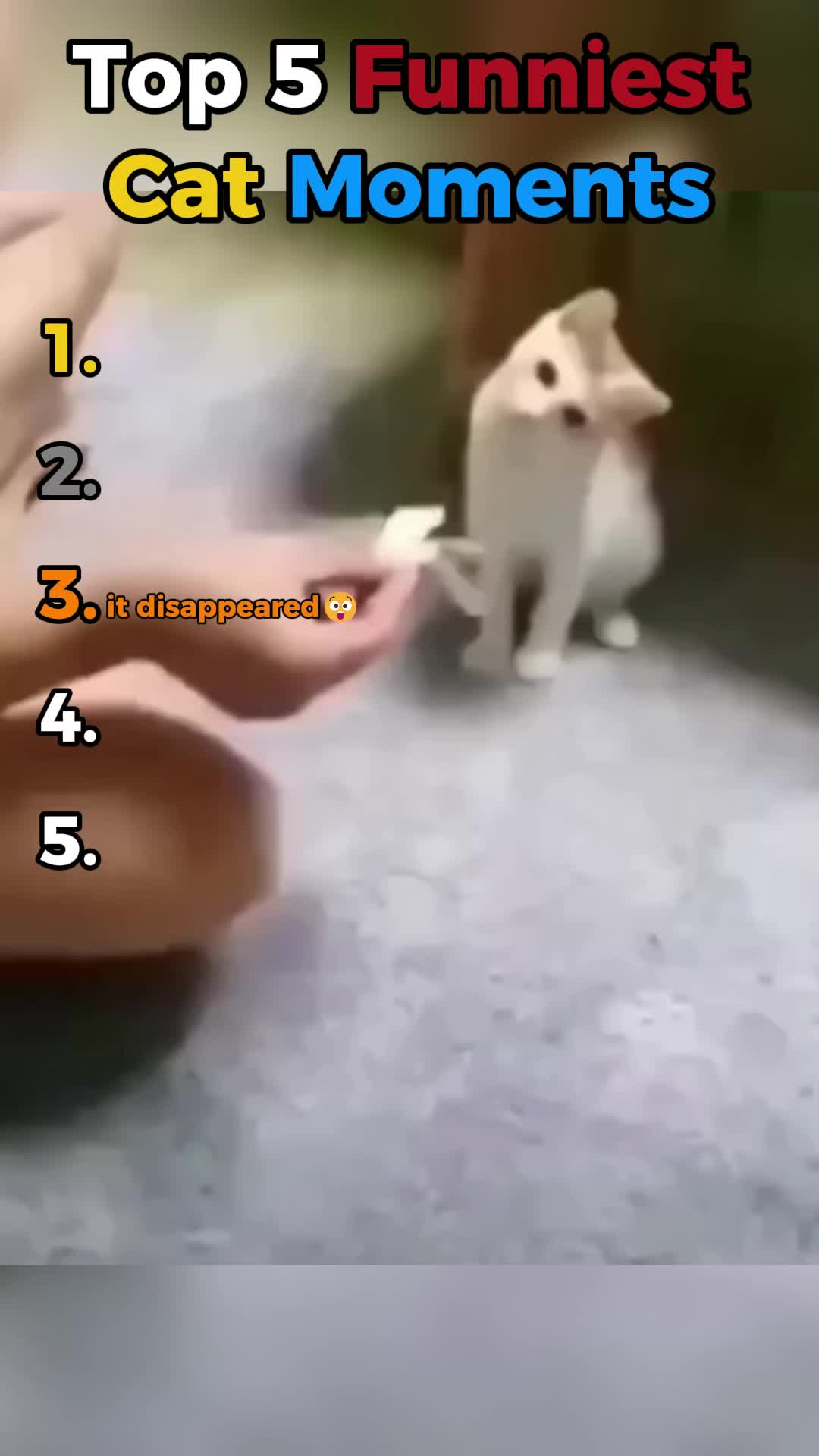 @Top 5 Ranking Videos